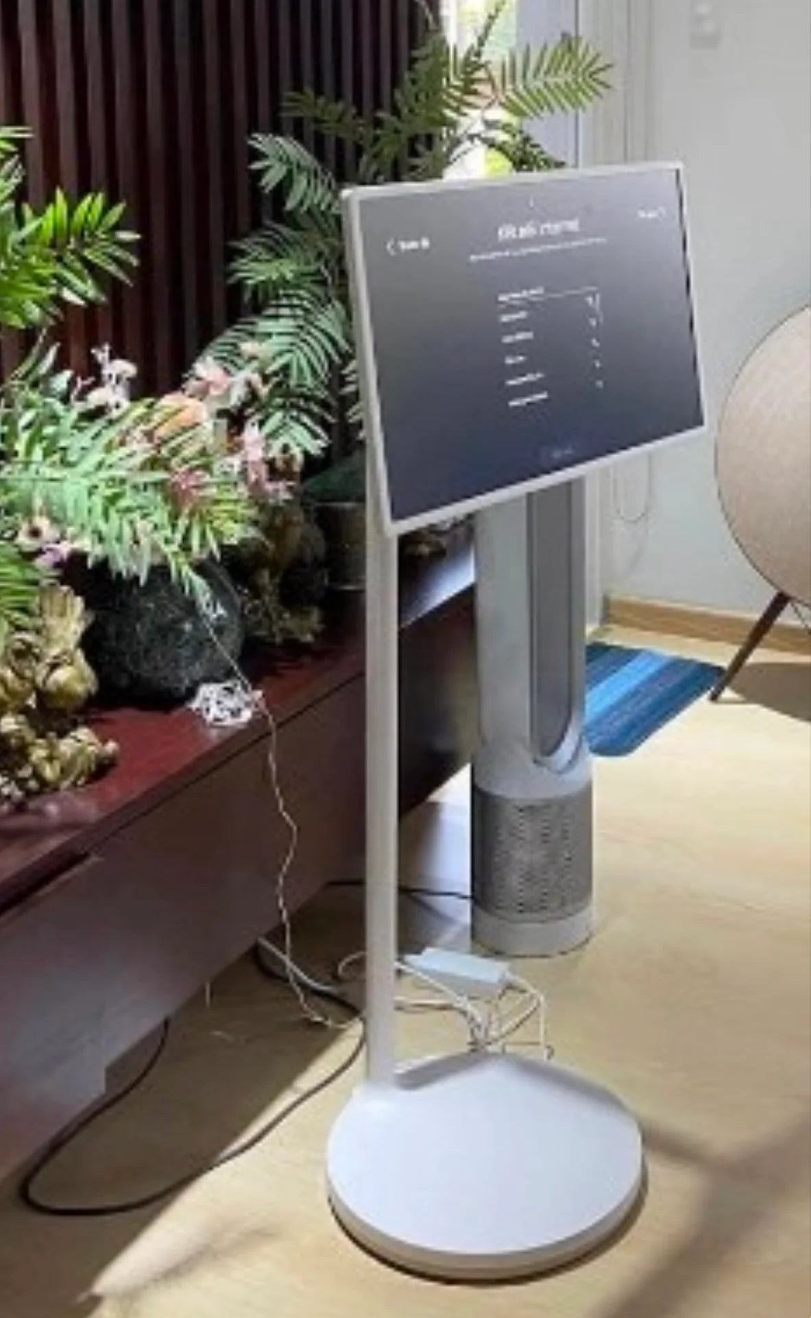 Smart TV